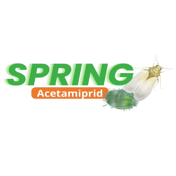 logo productos-16 SPRING®