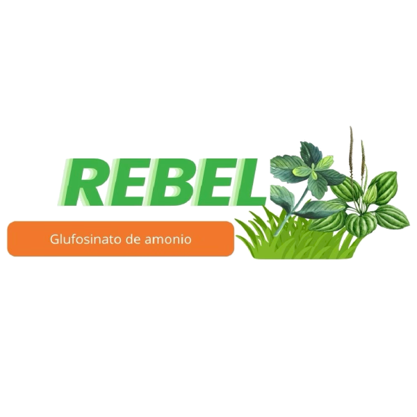 logo productos-18 REBEL®